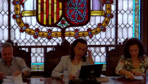 Sesión ordinaria - Xuño 2025