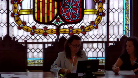 Sesión ordinaria - Xullo 2025